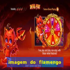 imagem do flamengo para perfil